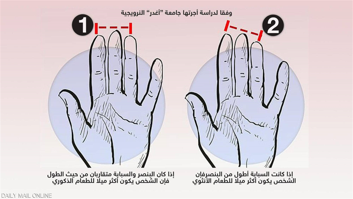 طول أصابع اليد يمكن أن يحدد خياراتنا في تناول الطعام! 1 qtzCvU